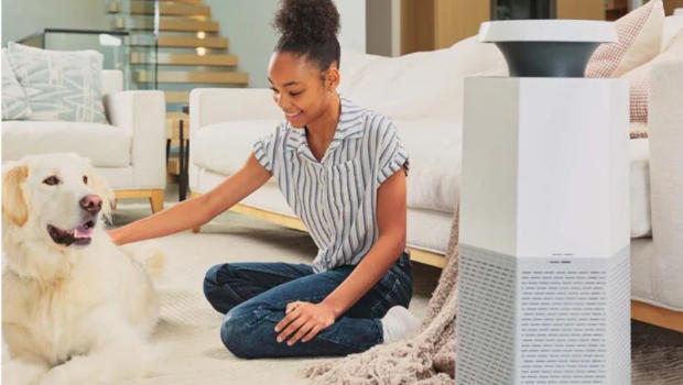 Puraclenz Air Purifier Review / Puraclenz Core