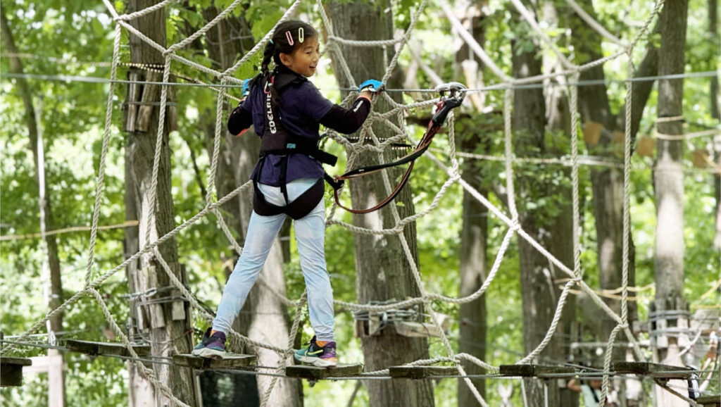 TreeRunner West Bloomfield Coupon Codes