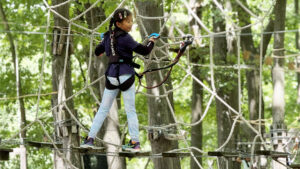 TreeRunner West Bloomfield Coupon Codes