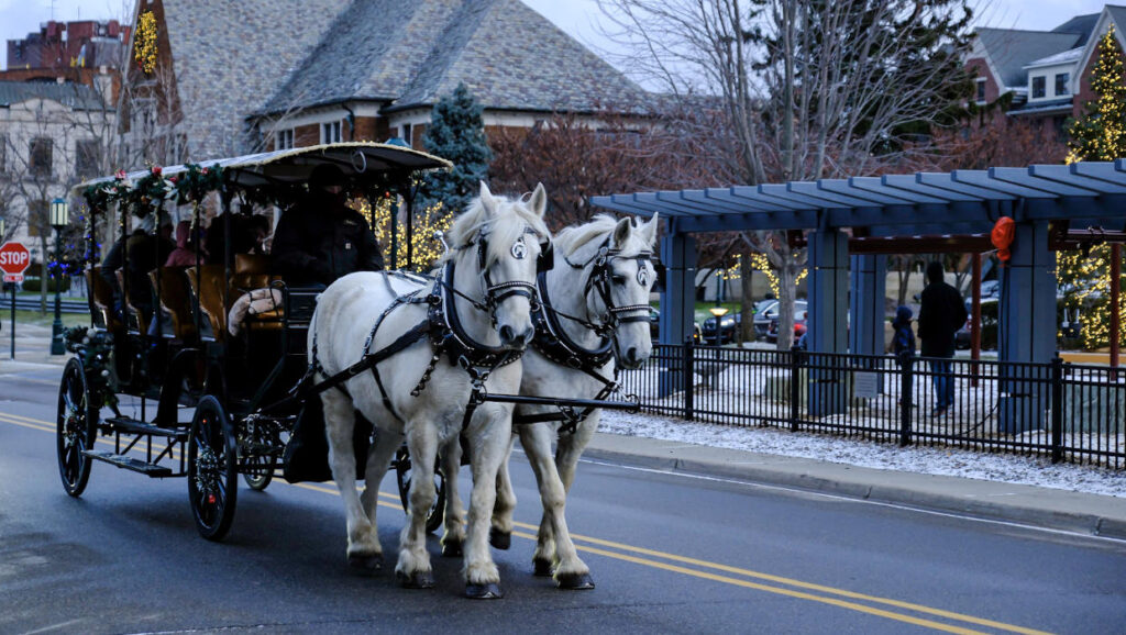 Birmingham Carriage Rides at Shain Park 2024