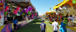 Hazel Park Memorial Festival Carnival