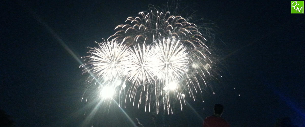 Wayne County Fireworks 2024