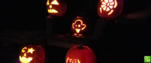 Boo Bash Southfield / Southfield Boo Bash