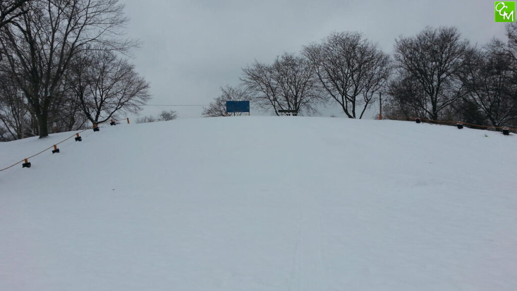 Shepherd Park Sledding Hill - Oak Park Sled Hill