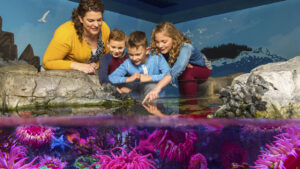 Teacher Appreciation Freebies and Discounts 2024