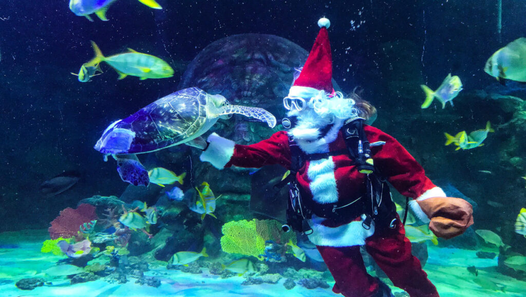 Sea Life Great Lakes Crossing Events 2025