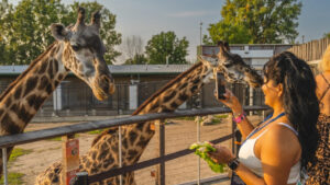 Toledo Zoo Tickets Contest / WIN Toledo Zoo Tickets
