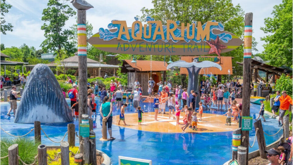 Oakland County Moms Summer Contests 2025