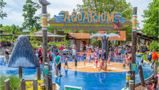 Toledo Zoo Tickets Contest
