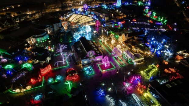 Toledo Zoo Lights Before Christmas Contest