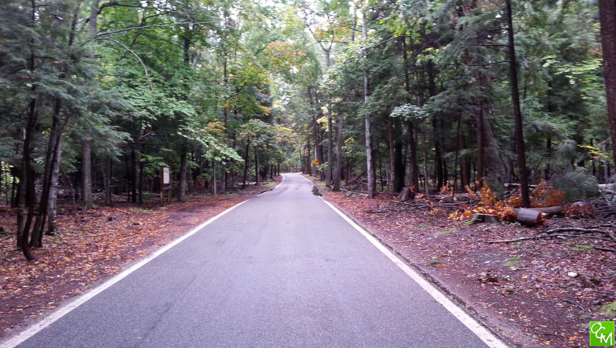 Tunnel of Trees Harbor Springs | Oakland County Moms