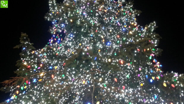 Auburn Hills Tree Lighting Ceremony
