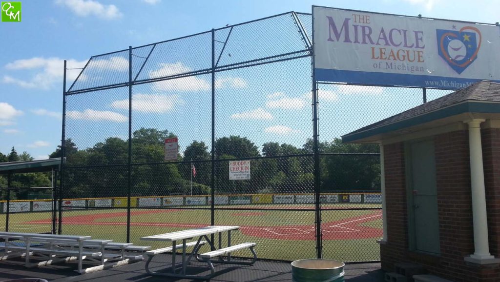 Metro Detroit Special Needs Sports Leagues / Adaptive Needs Sports Leagues in Metro Detroit
