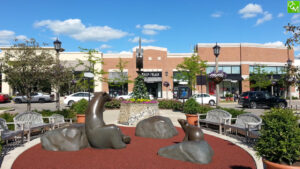 Village of Rochester Hills Gift Card Contest