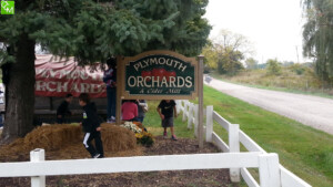 Plymouth Orchards Cider Mill Review Pics Info