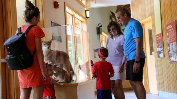 Stony Creek Metropark Nature Center