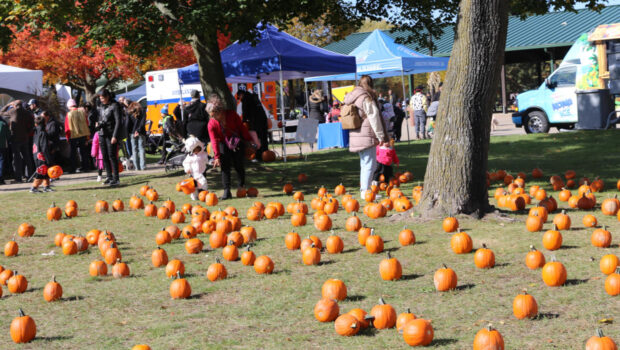 Macomb County HarvestFest 2025 / Macomb County Harvest Fest