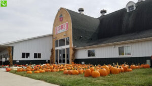 Big Red Orchard Cider Mill Romeo pics, review,