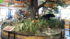 Metro Detroit Nature Centers