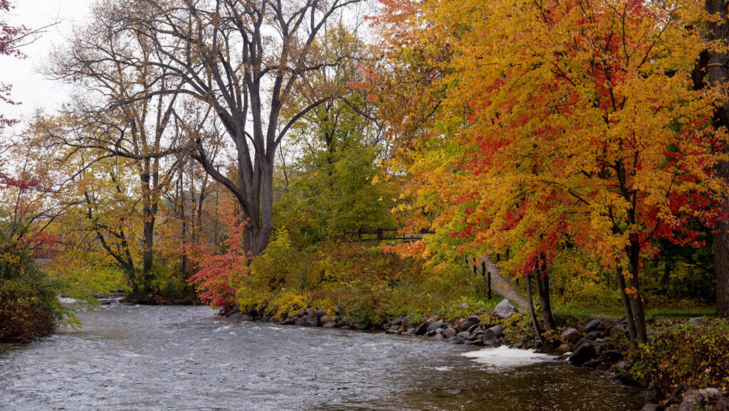 Metroparks Events Calendar 2026