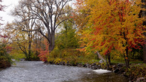 Metroparks Events Calendar 2026