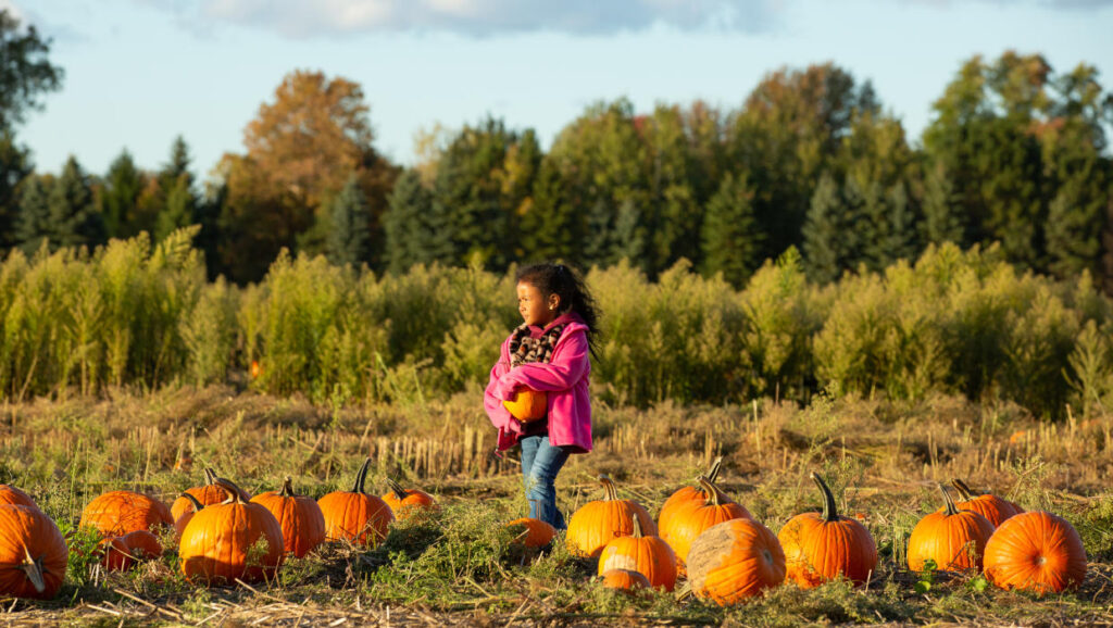 Fall Into Fun at the Huron-Clinton Metroparks / Metroparks Fall Fun Things to Do