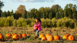 Fall Into Fun at the Huron-Clinton Metroparks / Metroparks Fall Fun Things to Do