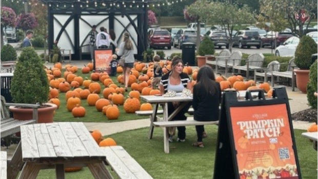 village of rochester hills pumpkin patch
