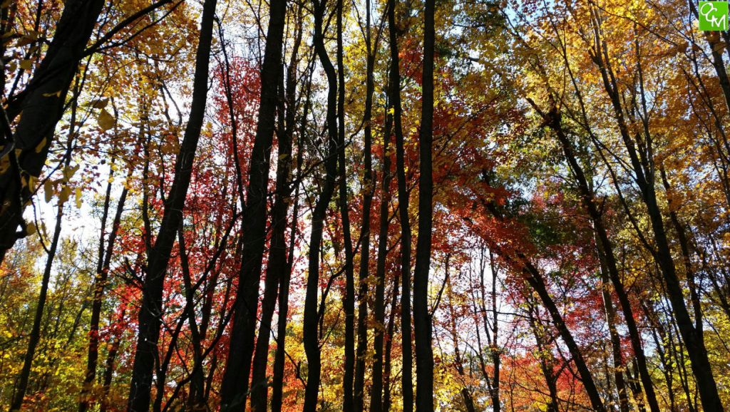Oakland County Parks Events Calendar 2025