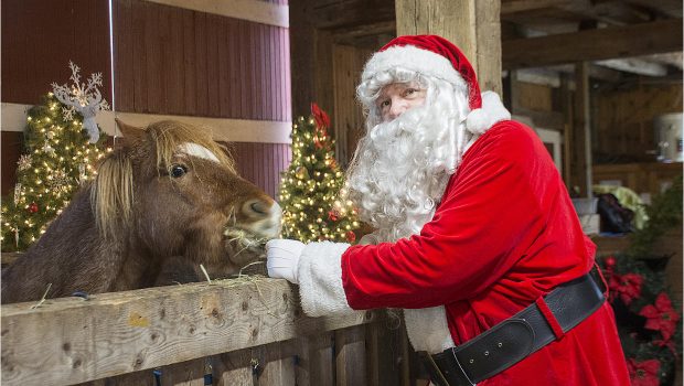 Maybury Farm Events / Maybury Farm Santa Claus