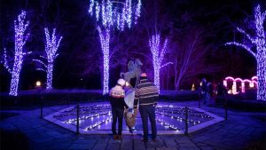 How to Beat the Holiday Blues