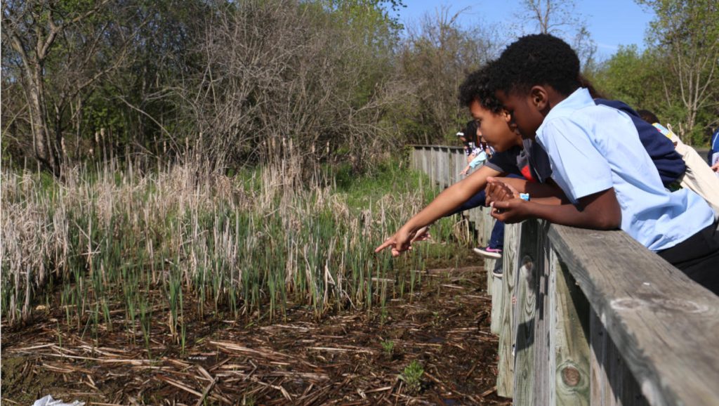 Earth Day Events Metro Detroit 2025