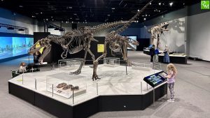 Tyrannosaurs – Meet the Family at the Michigan Science Center Review Pics