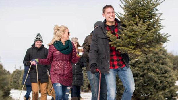 Blake's U-Cut Christmas Trees