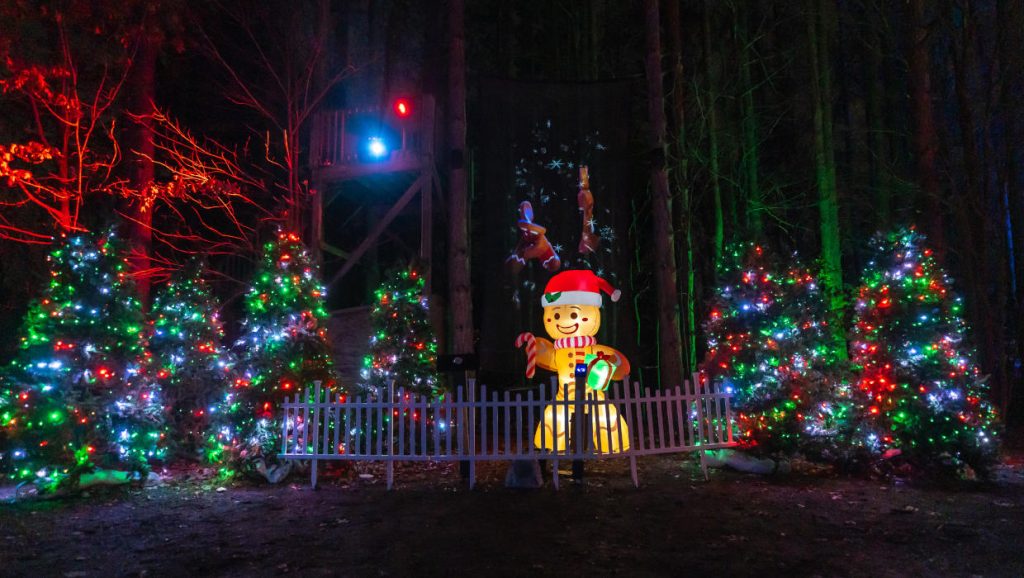 Weekend Events December 25, 26, 27, 28, 2025, Things to Do This Weekend in Metro Detroit