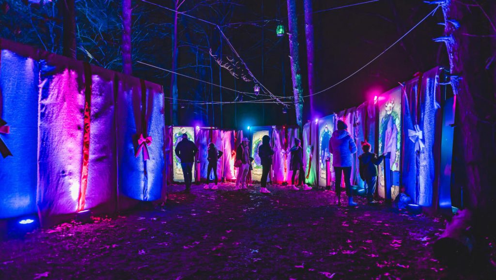 Weekend Events November 20, 21, 22, & 23, 2025, Things to Do This Weekend in Metro Detroit