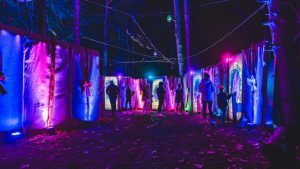 Weekend Events November 20, 21, 22, & 23, 2025, Things to Do This Weekend in Metro Detroit