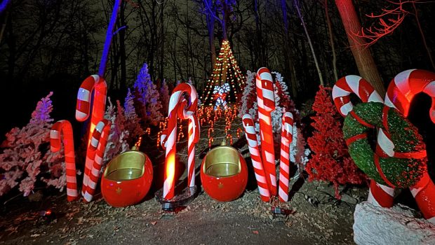 Clarkston Holiday Forest Coupon / Holiday Forest Clarkston Coupon Code / Discount Holiday Forest Admission Tickets Offer