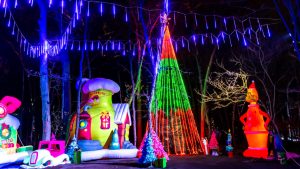 Clarkston Holiday Forest Tickets Contest / WIN Holiday Forest Clarkston Tickets