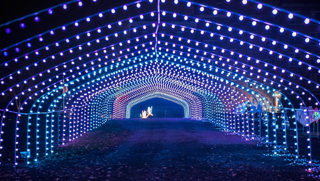 MI Bright Lights / Eloise Hospital Holiday Lights / Westland Christmas Lights