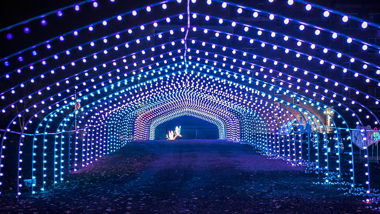 MI Bright Lights / Milford Holiday Lights / Milford Christmas Lights