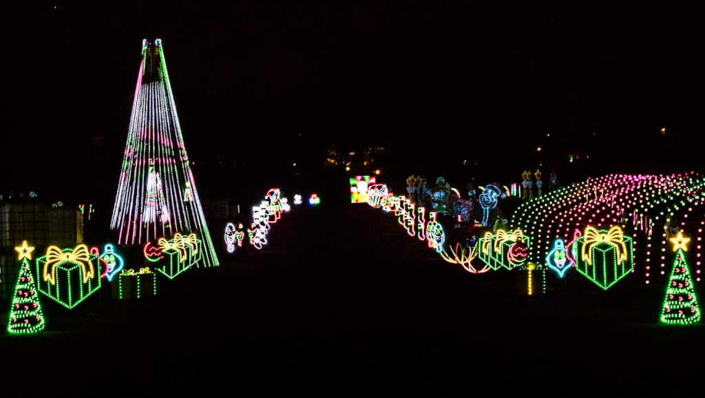 Weekend Events November 13, 14, 15, & 16, 2025, Things to Do This Weekend in Metro Detroit