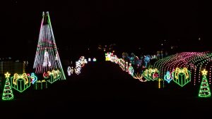 Weekend Events November 13, 14, 15, & 16, 2025, Things to Do This Weekend in Metro Detroit