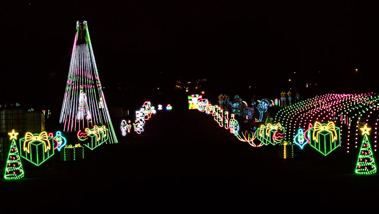 Weekend Events November 13, 14, 15, & 16, 2025, Things to Do This Weekend in Metro Detroit