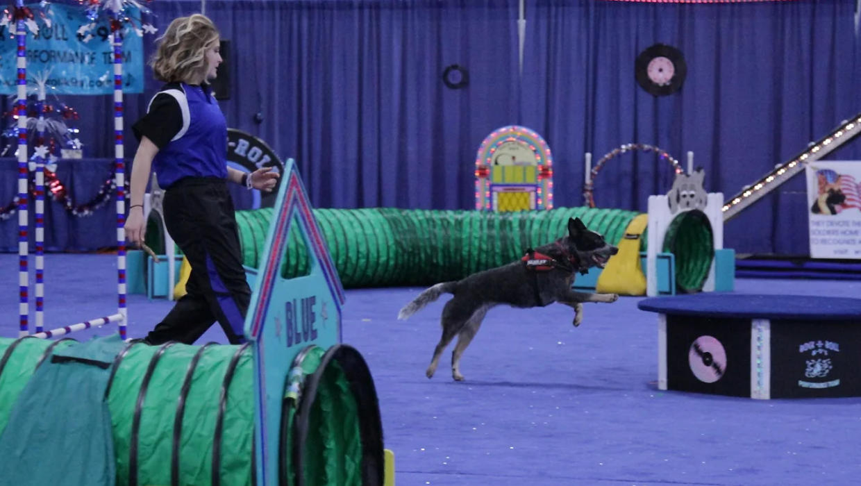 Novi Pet Expo 2026 + Discount Admission Coupon
