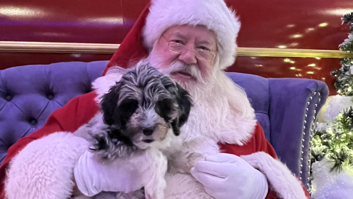 Santa Claus Pet Photos 2024 / Pet Pics with Santa Claus
