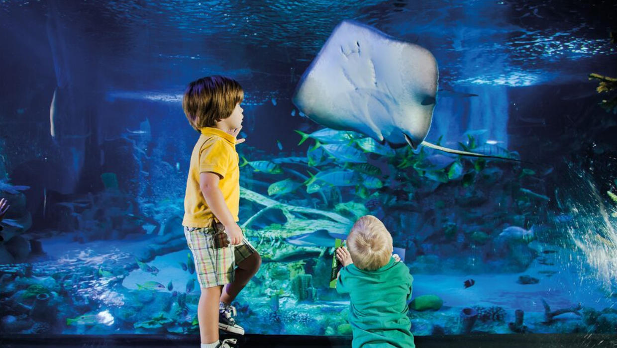 SEA Life Michigan / LEGOLAND / Peppa Pig World of Play FALL SALE