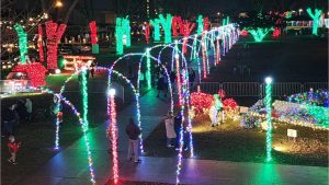 St Clair Shores Tunnel of Lights / Tunnel of Lights Blossom Heath Park