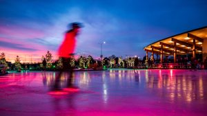 Troy Skating Rink at Stine Park / The Rink Troy / Stine Park Skating Rink / Troy Ice Skating Rink