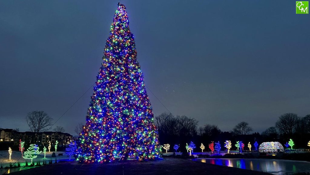 Innovation Hills Christmas Lights / Innovation Hills Holiday Lights / Innovation Hills Park Holiday Lights